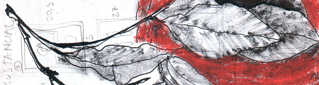 Colaboración con PLAT.TV: Ilustraciones de portada