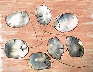 Ilustración de Pilar Barrios, serie