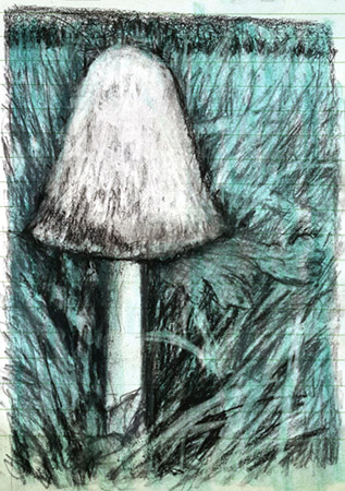 Ilustración de Pilar Barrios, serie